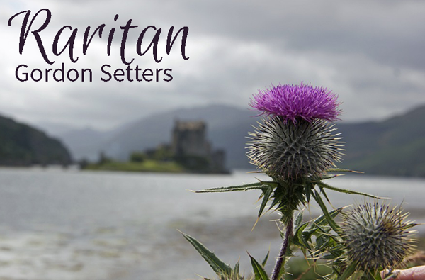 Image is not available